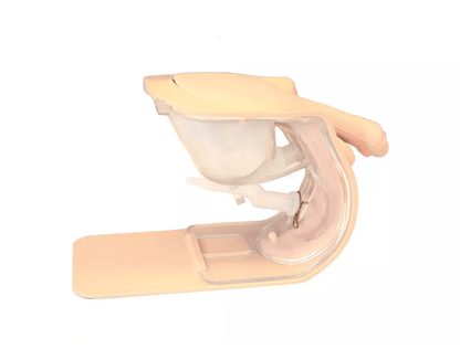 Katheterisierungs - /Einlauf - Simulator, männlich - Erler - Zimmer