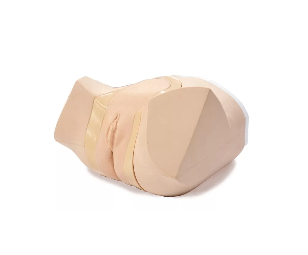 Katheterisierungs - /Einlauf - Simulator, weiblich - Erler - Zimmer