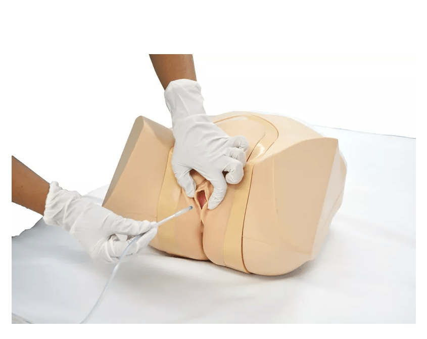 Katheterisierungs - /Einlauf - Simulator, weiblich - Erler - Zimmer