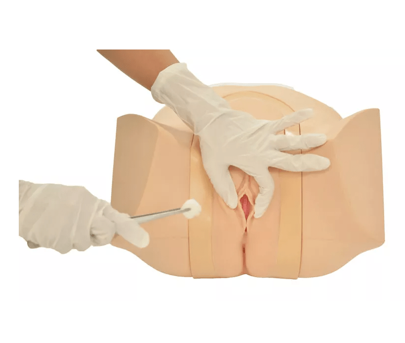 Katheterisierungs - /Einlauf - Simulator, weiblich - Erler - Zimmer