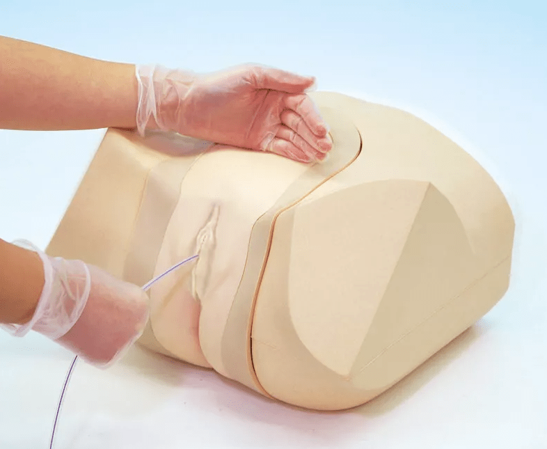 Katheterisierungs - /Einlauf - Simulator, weiblich - Erler - Zimmer