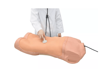 Abdominaler Untersuchungs - Simulator - Erler - Zimmer