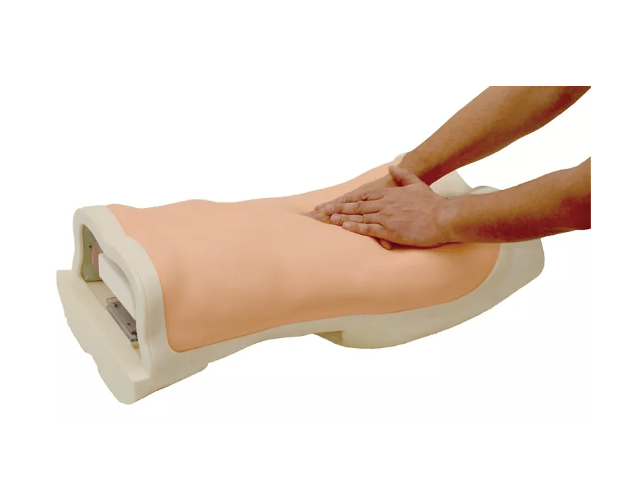 Abdominaler Untersuchungs - Simulator - Erler - Zimmer