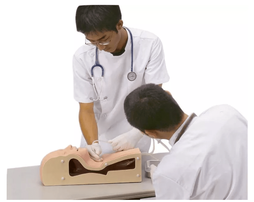 Atemwegs - Absaugtrainer - Erler - Zimmer