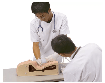 Atemwegs - Absaugtrainer - Erler - Zimmer