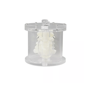 Schilddrüsenphantom UN - Erler - Zimmer