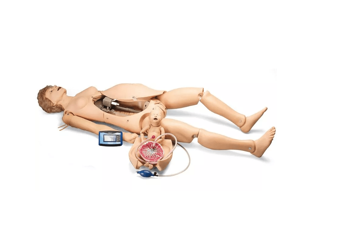 Noelle Geburtssimulator - Erler - Zimmer