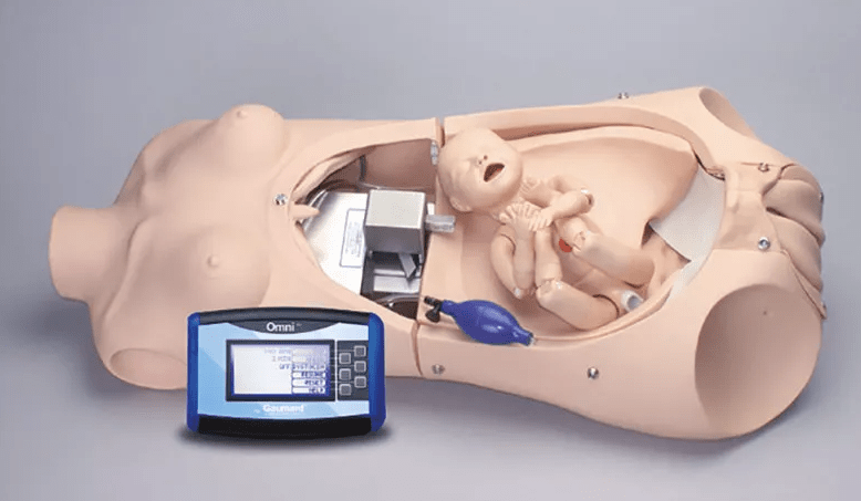 Noelle Geburtstorso - Erler - Zimmer