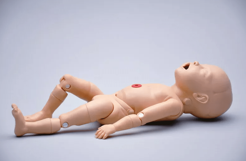 Noelle Geburtstorso - Erler - Zimmer