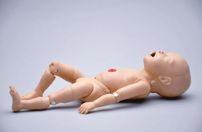 Noelle Geburtstorso - Erler - Zimmer