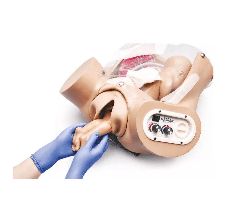 Advanced OB Susie - Erler - Zimmer