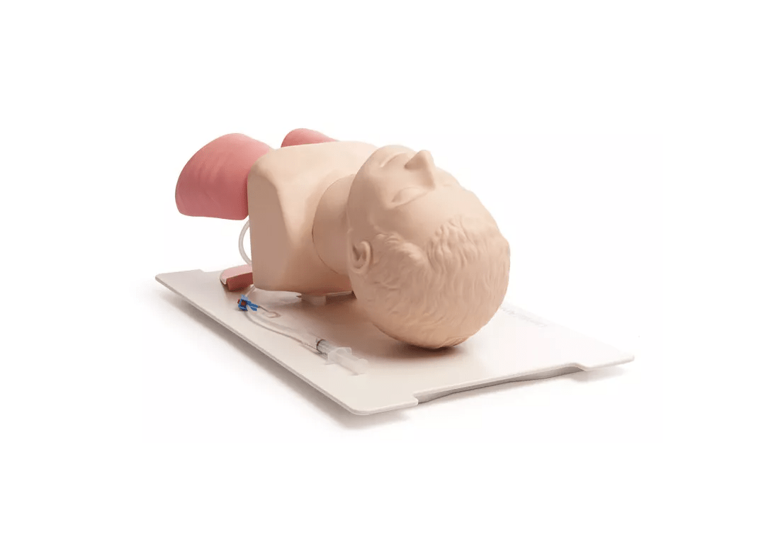 Airway Management Trainer - Erler - Zimmer