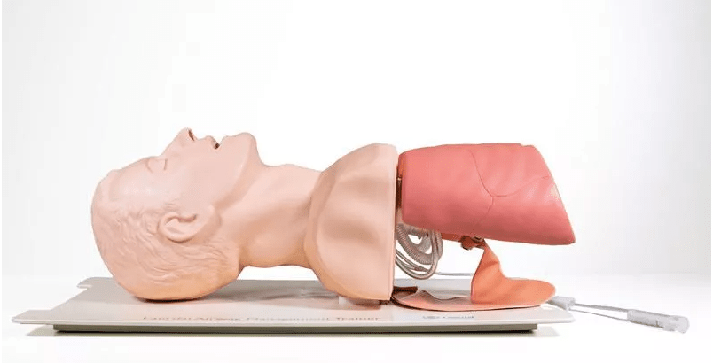 Neugeborenen Intubationstrainer - Erler - Zimmer