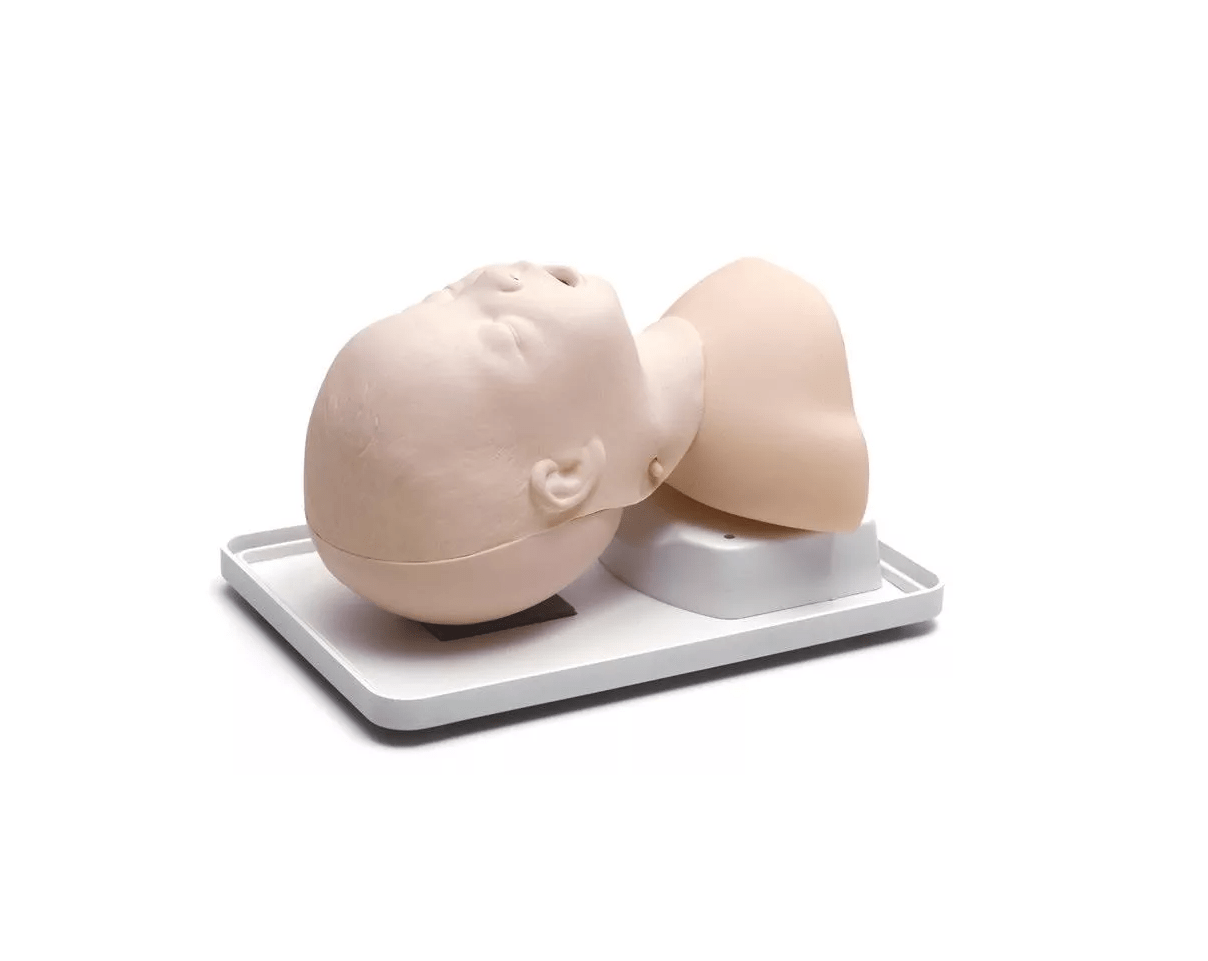Neugeborenen Intubationstrainer - Erler - Zimmer