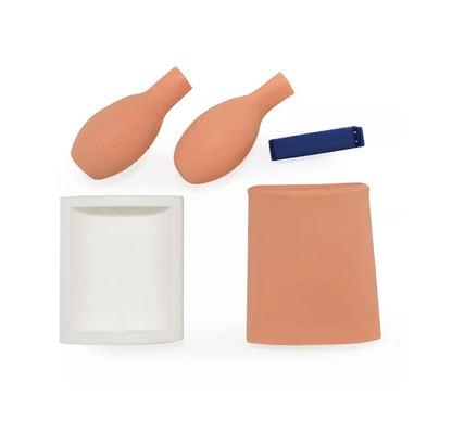 Blasenpunktionstrainer (Zystozentese) - Erler - Zimmer