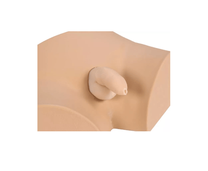 Beschneidungstrainer Circumsision Chalid - Erler - Zimmer