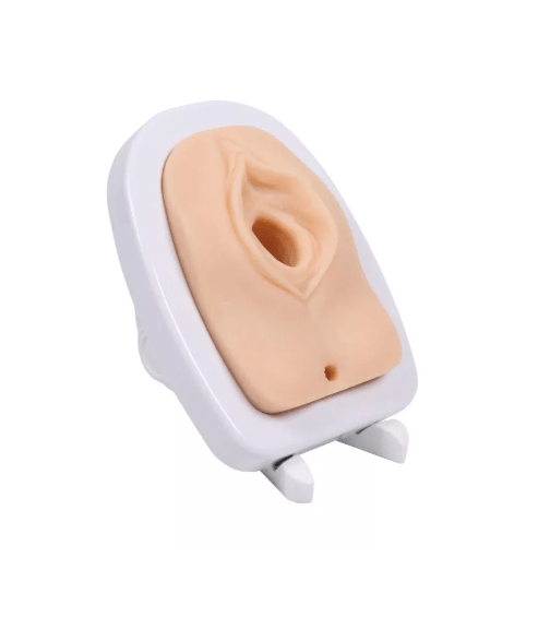 Episiotomie Simulator - Erler - Zimmer