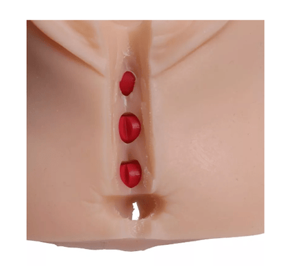 Episiotomie Simulator - Erler - Zimmer