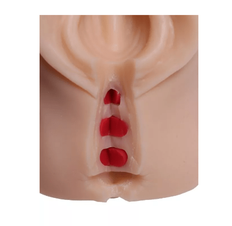 Episiotomie Simulator - Erler - Zimmer