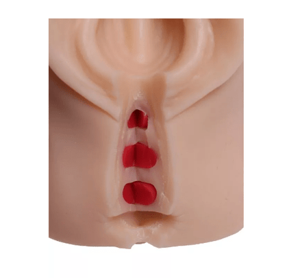 Episiotomie Simulator - Erler - Zimmer