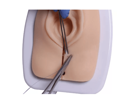 Episiotomie Simulator - Erler - Zimmer