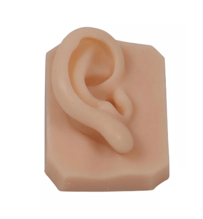 Gesichtsteile zum Nahttraining - Erler - Zimmer