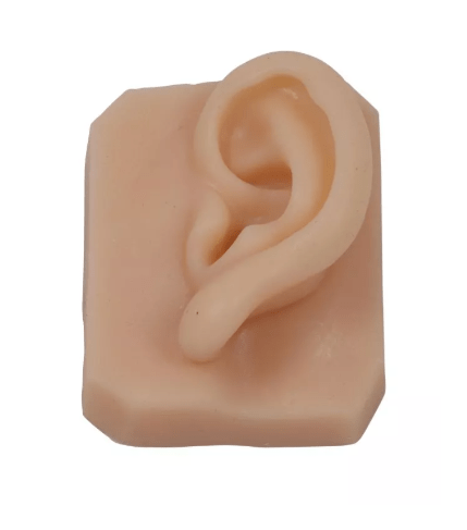 Gesichtsteile zum Nahttraining - Erler - Zimmer