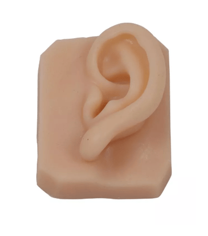 Gesichtsteile zum Nahttraining - Erler - Zimmer