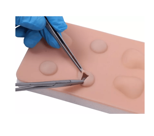 Übungspad Zyste und Abszess - Erler - Zimmer