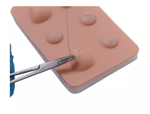 Übungspad Zyste und Abszess - Erler - Zimmer