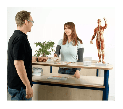 Muskelfigur, 1/3 natürliche GrößeMuskelfigur, 1/3 natürliche Größe - Erler - Zimmer