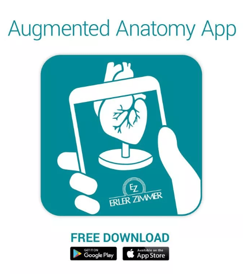 Neuronmodell mit Stadien der Multiplen Sklerose - Erler - Zimmer