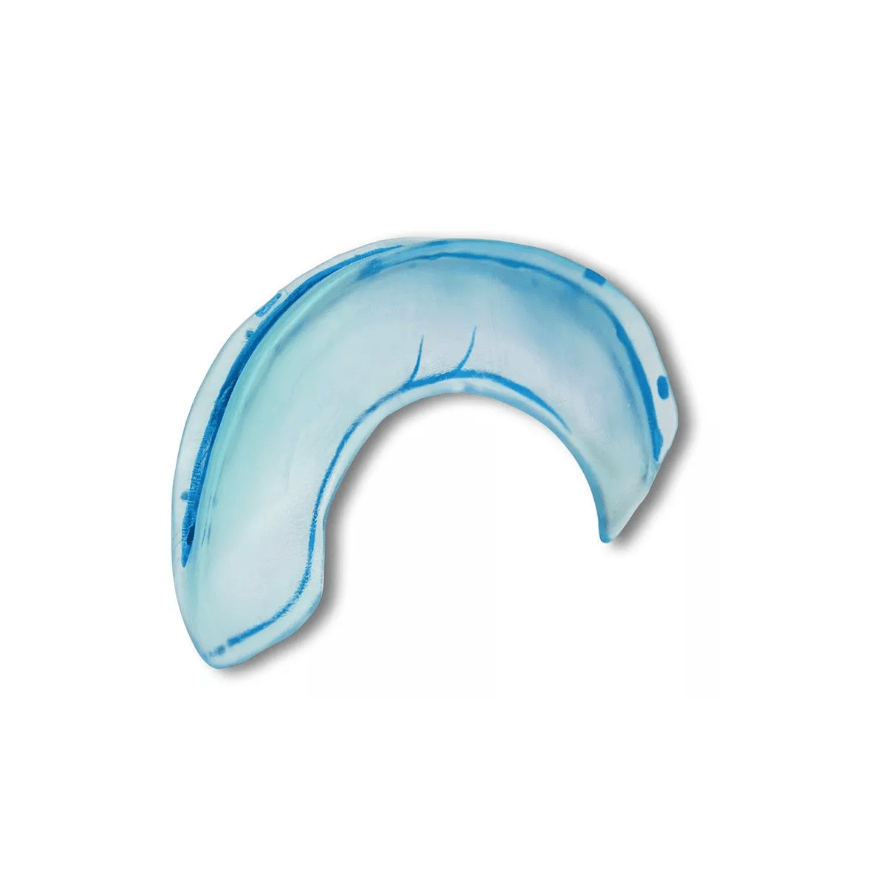 Falx cerebri Modell - Erler - Zimmer