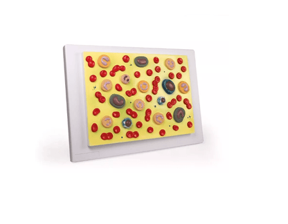 Blutzellen - Erler - Zimmer