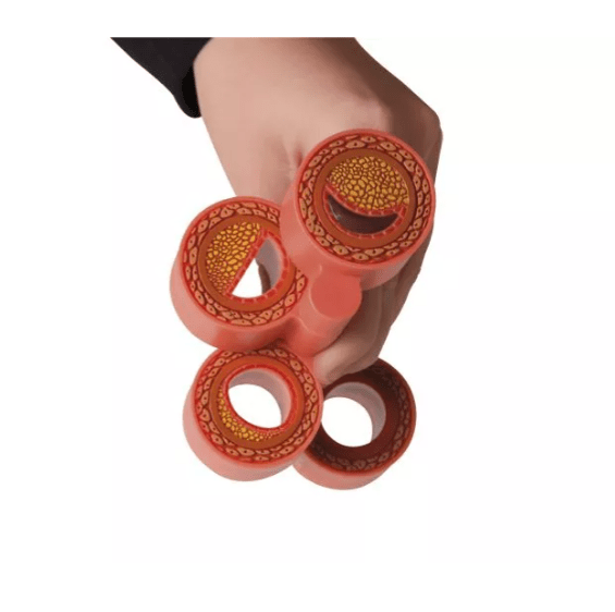 Arteriosklerosemodell, 4 - teilig - Erler - Zimmer