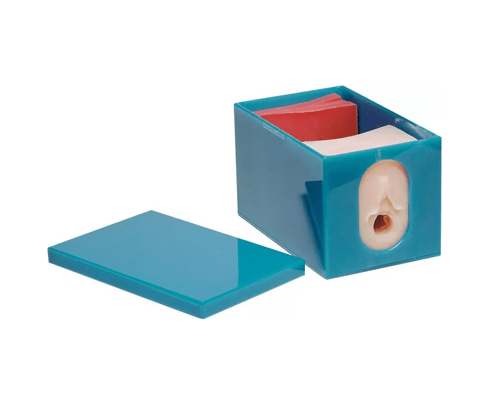 Geburtsfortschritts - und Fetalüberwachungs - Modellset - Erler - Zimmer