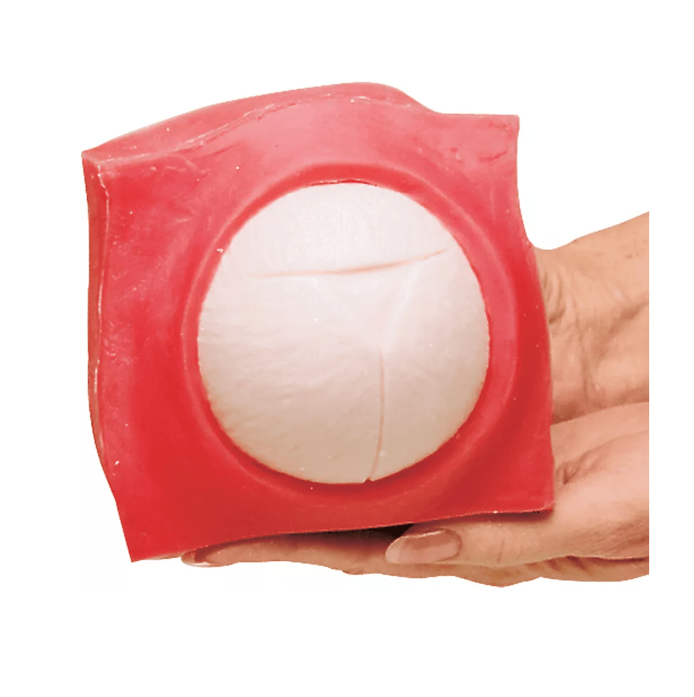 Geburtsfortschritts - und Fetalüberwachungs - Modellset - Erler - Zimmer