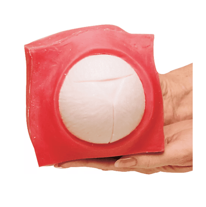 Geburtsfortschritts - und Fetalüberwachungs - Modellset - Erler - Zimmer