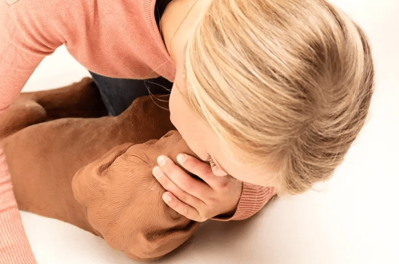 Erler-ZimmerHLW Übungshund CasPeRDocMed GmbH