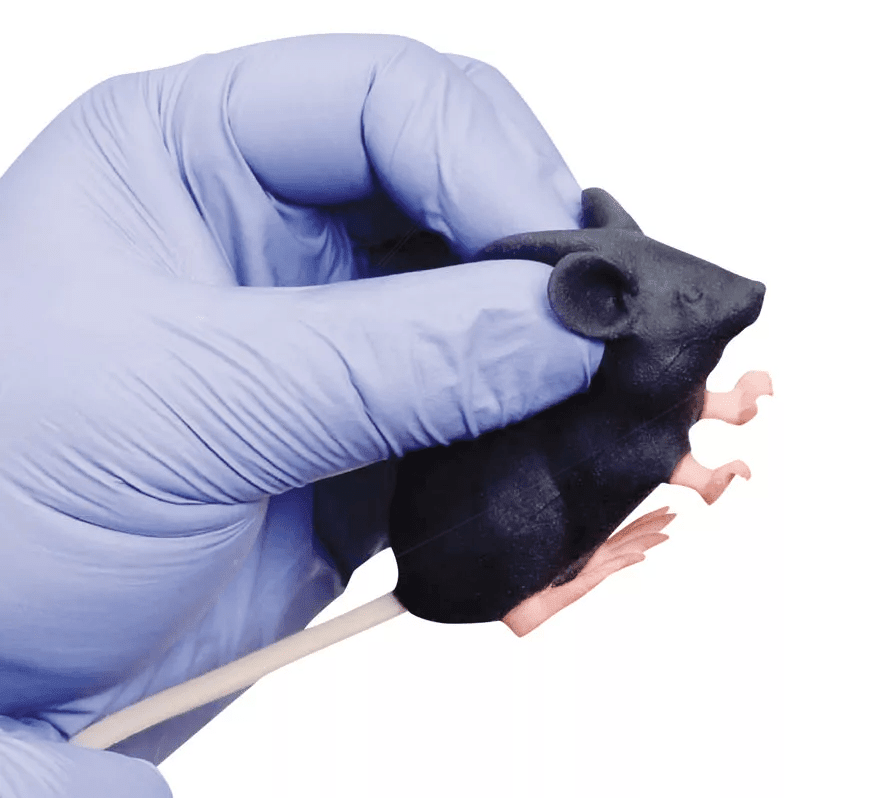 Erler-ZimmerMimicky MouseDocMed GmbH