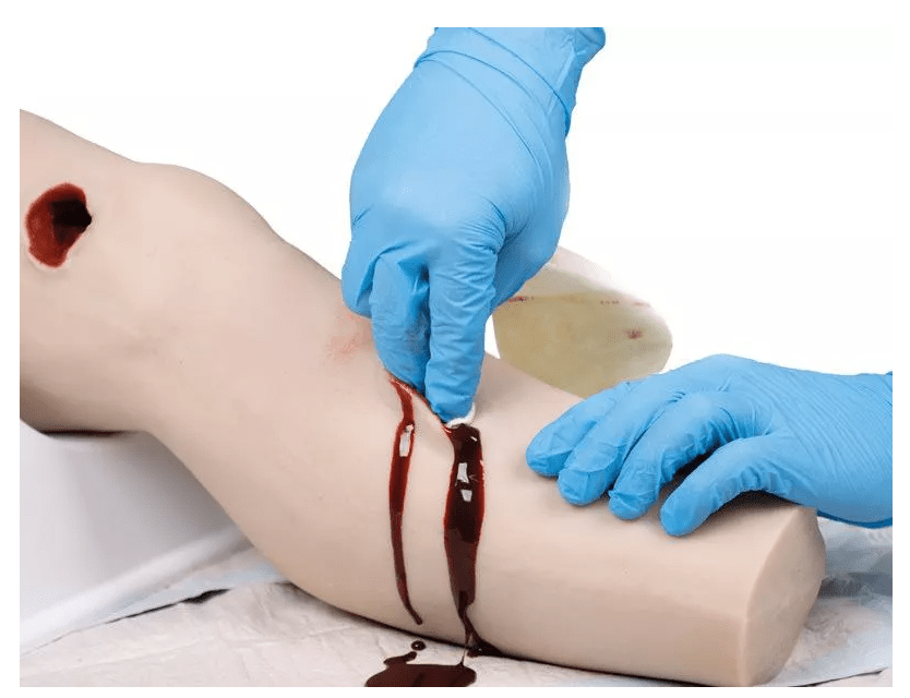 Erler-ZimmerTrauma Bein TasktrainerDocMed GmbH