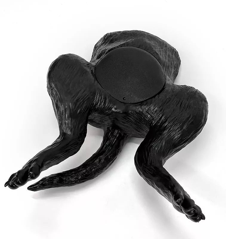 Erler-ZimmerUltraschalltrainer HundeblaseDocMed GmbH