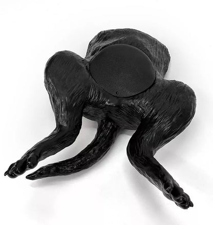 Erler-ZimmerUltraschalltrainer HundeblaseDocMed GmbH